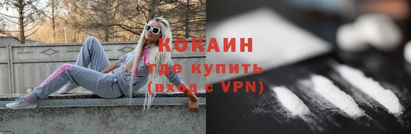гашик Майский