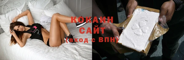 гашик Майский