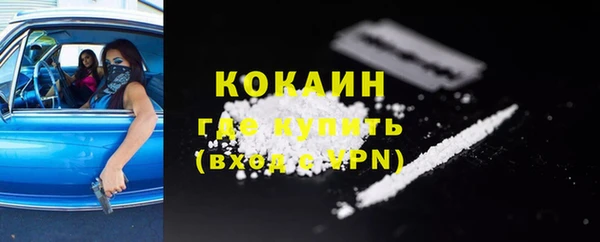гашик Майский