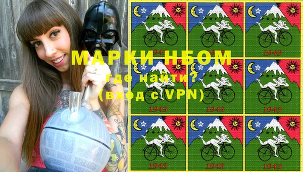 гашик Майский