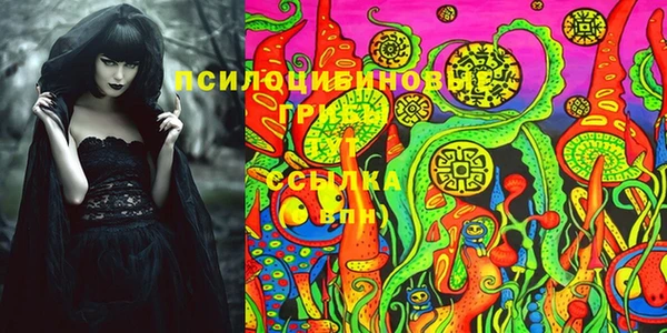 стафф Магас