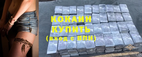 гашик Майский