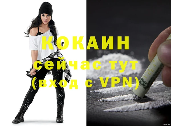 гашик Майский