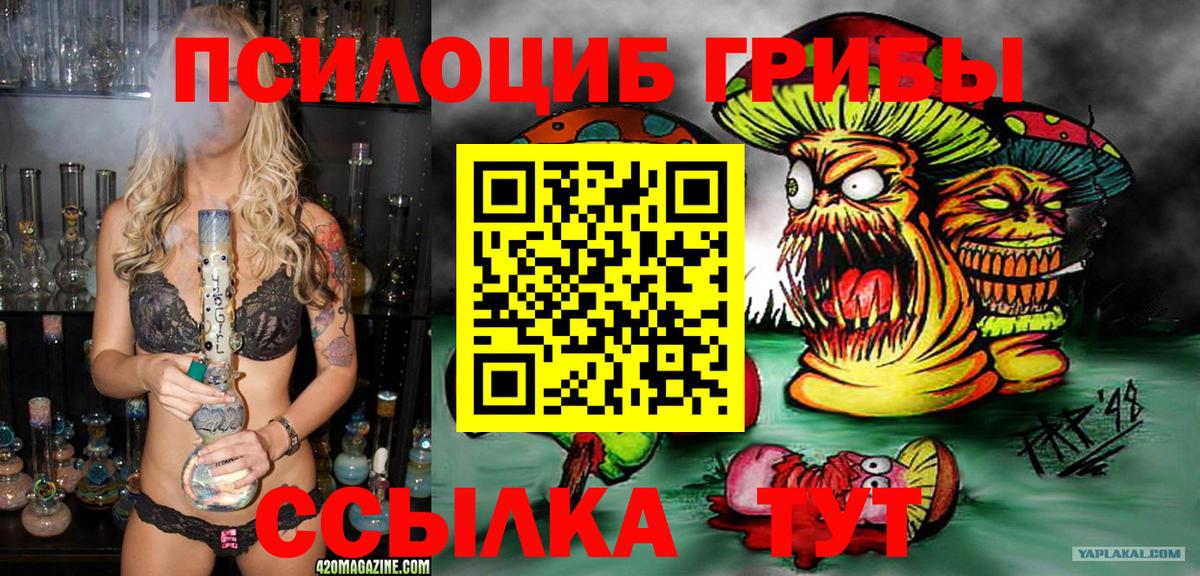 Галлюциногенные грибы Cubensis  Вход с VPN  Сызрань 
